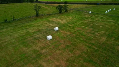 Round straw bales wrapped in stretch film are arranged in a grassy field, Stock Footage 341767216