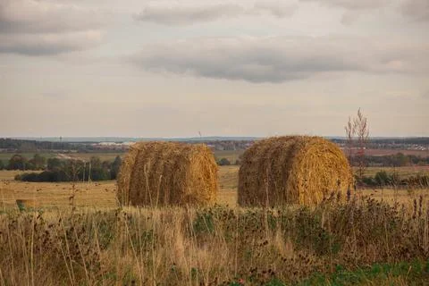 Round straw rolls Stock Photos