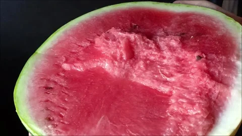 Round striped watermelon cut in half Stock Footage 313102271