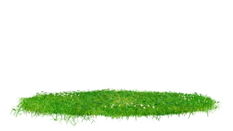 Round surface patch covered with green grass Stock Footage 274344692
