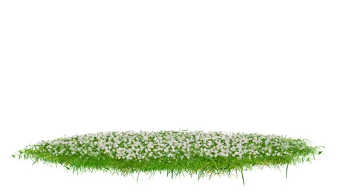 Round surface patch covered with green grass Stock Footage 274347232