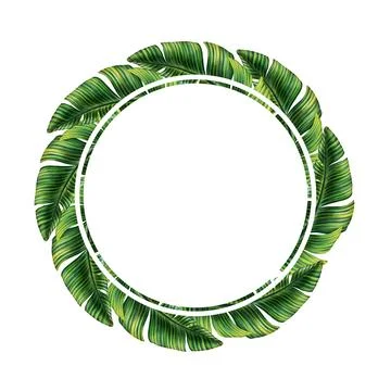 Round template for text with tropical palm leaves. Tropic leaf wreath. Circle Stock Illustration