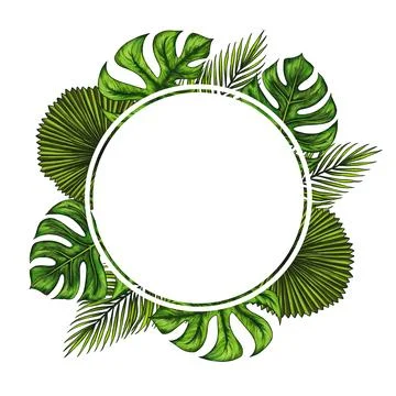 Round template for text with tropical palm leaves. Tropic leaf wreath. Circle Stock Illustration