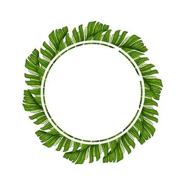 Round template for text with tropical palm leaves. Tropic leaf wreath. Circle Illustration