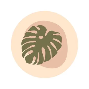 Round texture and abstract icon for highlights. Flower. Monstera Stock Illustration