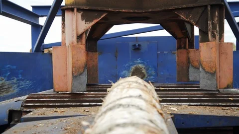 Round timber logs preparation sorting processing at sawmill. Wheel loader and Stock Footage 126406395