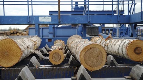 Round timber logs preparation sorting processing at sawmill. Wheel loader and Stock Footage 126408423
