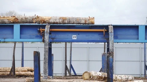 Round timber logs preparation sorting processing at sawmill. Wheel loader and Stock Footage 126410224