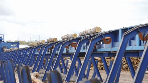 Round timber logs preparation sorting processing at sawmill. Wheel loader and Stock Footage 126415391