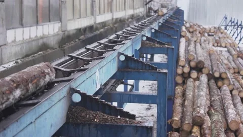 Round timber logs preparation sorting processing at sawmill. Wheel loader and Stock Footage 130878327