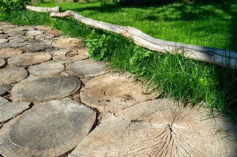 Round timber path in the park Stock Photos