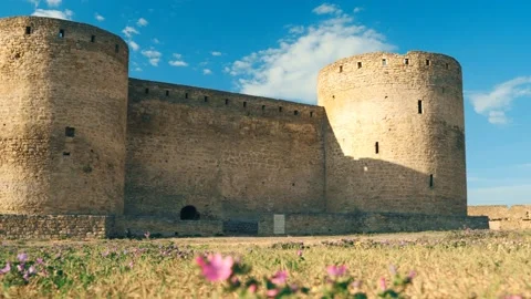 Round tower castle blue sky and flowers. 4K video Video stock 131338757