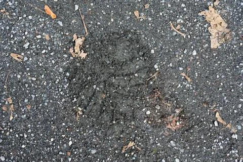 Round track imprint pattern across muddy path after vehicle 写真素材