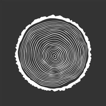 Round tree trunk cut, sawn pine or oak slice. Saw cut timber, wood. White wooden Stock Illustration