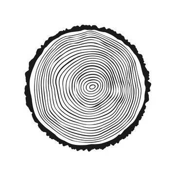 Round tree trunk cut, sawn pine or oak slice. Saw cut timber, wood. Wooden Stock Illustration