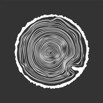 Round tree trunk cut, sawn pine or oak slice. Saw cut timber, wood. White wooden Stock Illustration