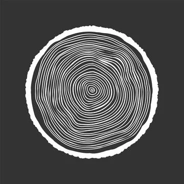 Round tree trunk cut, sawn pine or oak slice. Saw cut timber, wood. White wooden Stock Illustration