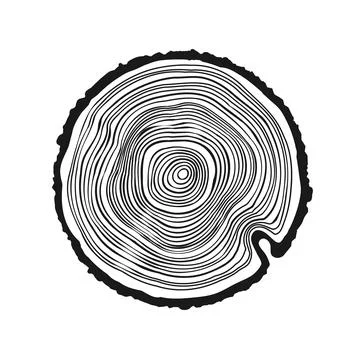 Round tree trunk cut, sawn pine or oak slice. Saw cut timber, wood. Wooden Stock Illustration