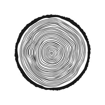Round tree trunk cut, sawn pine or oak slice. Saw cut timber, wood. Wooden Stock Illustration