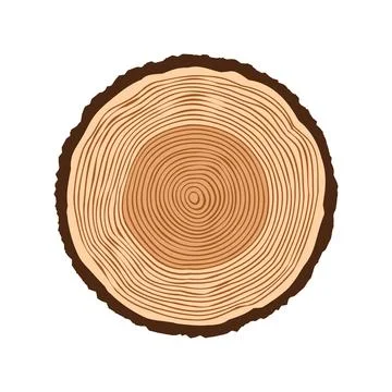 Round tree trunk cut, sawn pine or oak slice. Saw cut timber, wood. Brown wooden Stock Illustration