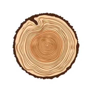 Round tree trunk cut, sawn pine or oak slice. Saw cut timber, wood. Brown wooden Stock Illustration