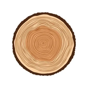 Round tree trunk cut, sawn pine or oak slice. Saw cut timber, wood. Brown wooden Stock Illustration