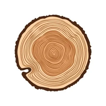 Round tree trunk cut, sawn pine or oak slice. Saw cut timber, wood. Brown wooden Stock Illustration