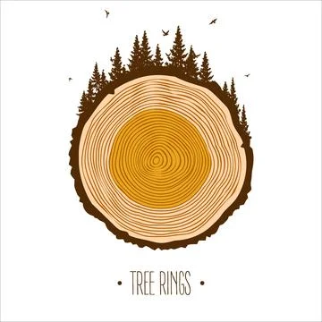 Round tree trunk cut with trees, forest and birds. Sawn pine or oak slice Illustrazione stock
