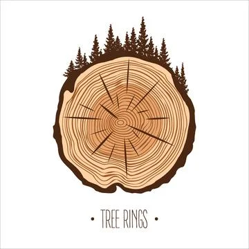 Round tree trunk cut with trees and forest. Sawn pine or oak slice, lumber. Saw Stock Illustration