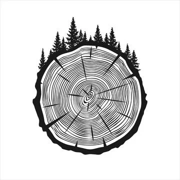 Round tree trunk cut with trees and forest. Sawn pine or oak slice, lumber. Saw Stock Illustration