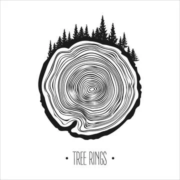 Round tree trunk cut with trees and forest. Sawn pine or oak slice, lumber. Saw Stock Illustration