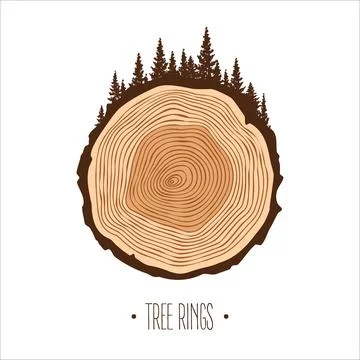 Round tree trunk cut with trees and forest. Sawn pine or oak slice, lumber. Saw Stock Illustration