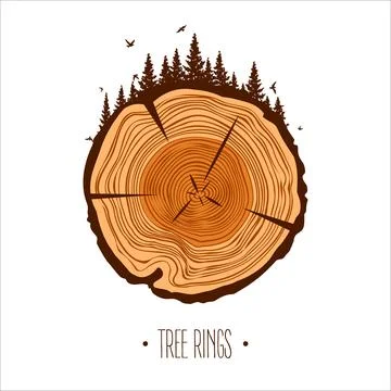 Round tree trunk cut with trees, forest and birds. Sawn pine or oak slice Stock Illustration