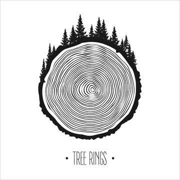 Round tree trunk cut with trees and forest. Sawn pine or oak slice, lumber. Saw Stock Illustration