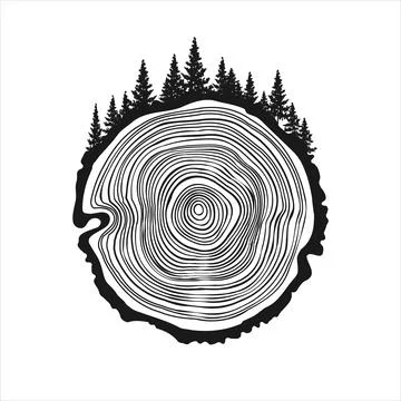 Round tree trunk cut with trees and forest. Sawn pine or oak slice, lumber. Saw Stock Illustration