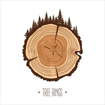 Round tree trunk cut with trees and forest. Sawn pine or oak slice, lumber. Saw Illustrazione stock