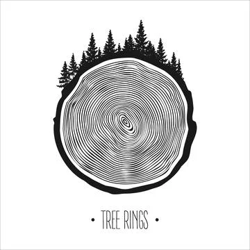 Round tree trunk cut with trees and forest. Sawn pine or oak slice, lumber. Saw Stock Illustration