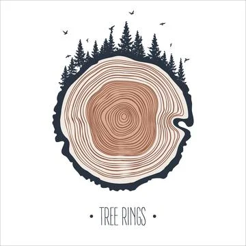 Round tree trunk cut with trees, forest and birds. Sawn pine or oak slice Stock Illustration