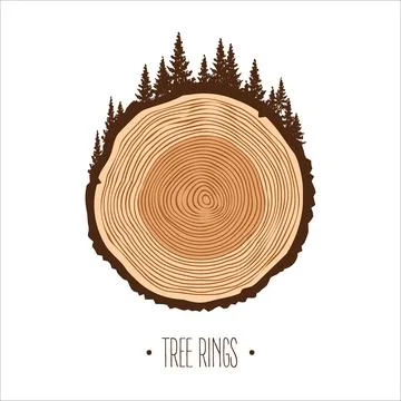 Round tree trunk cut with trees and forest. Sawn pine or oak slice, lumber. Saw Stock Illustration