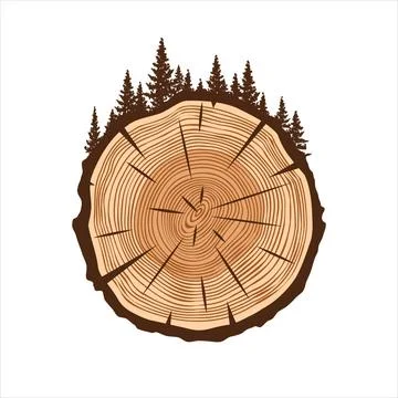 Round tree trunk cut with trees and forest. Sawn pine or oak slice, lumber. Saw Stock Illustration