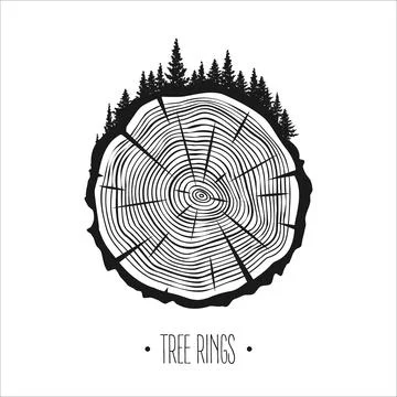 Round tree trunk cut with trees and forest. Sawn pine or oak slice, lumber. Saw Stock Illustration