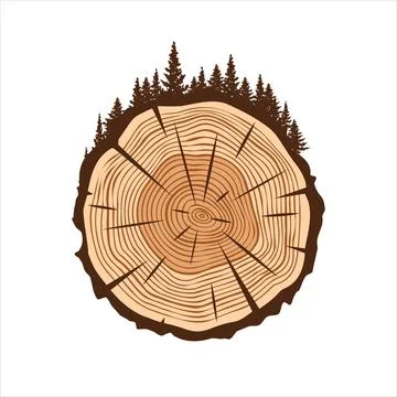 Round tree trunk cut with trees and forest. Sawn pine or oak slice, lumber. Saw Stock Illustration