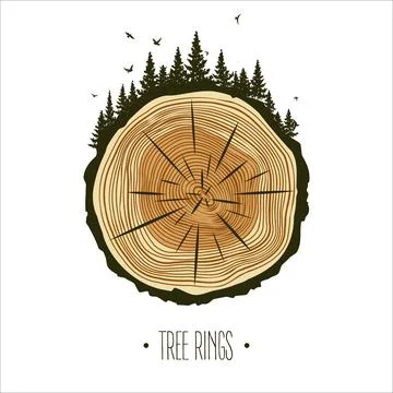 Round tree trunk cut with trees, forest and birds. Sawn pine or oak slice Illustrazione stock
