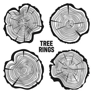 Round tree trunk cuts with cracks, sawn pine or oak slices, lumber. Saw cut Illustrazione stock