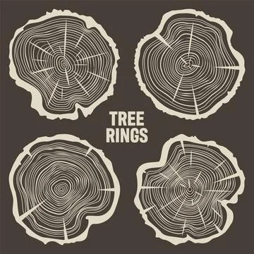 Round tree trunk cuts with cracks, sawn pine or oak slices, lumber. Saw cut Stock Illustration