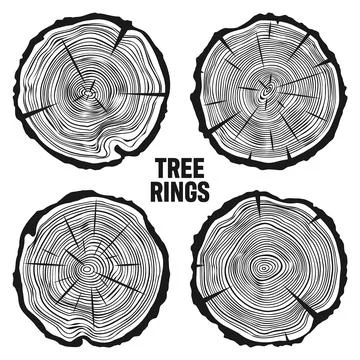 Round tree trunk cuts with cracks, sawn pine or oak slices, lumber. Saw cut Illustrazione stock