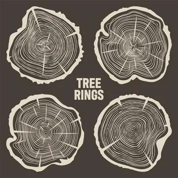 Round tree trunk cuts with cracks, sawn pine or oak slices, lumber. Saw cut 스톡 일러스트