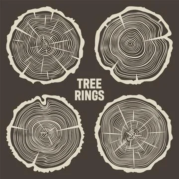 Round tree trunk cuts with cracks, sawn pine or oak slices, lumber. Saw cut Stock Illustration