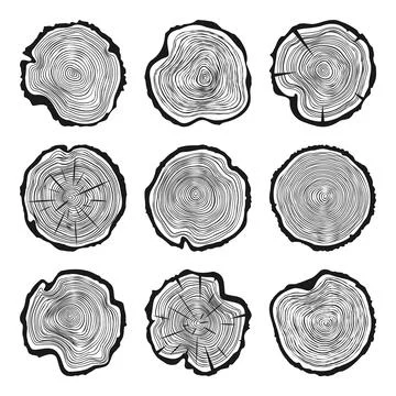 Round tree trunk cuts with cracks, sawn pine or oak slices, lumber. Saw cut Stock Illustration