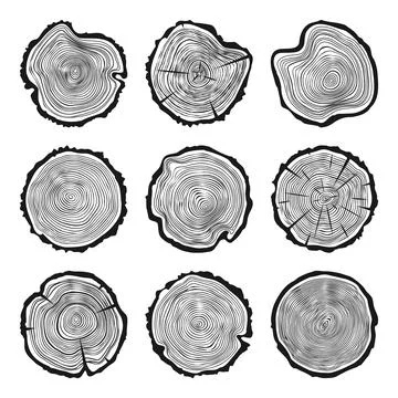 Round tree trunk cuts with cracks, sawn pine or oak slices, lumber. Saw cut Stock Illustration